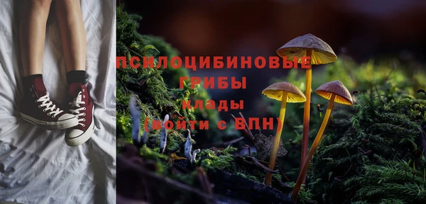 не бодяженный Коряжма