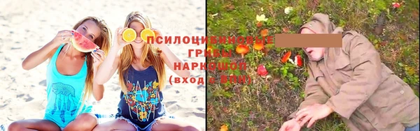 ECSTASY Корсаков