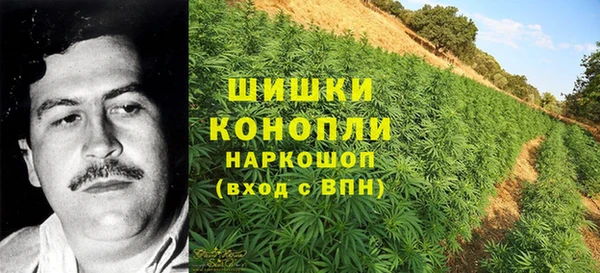стафф Надым