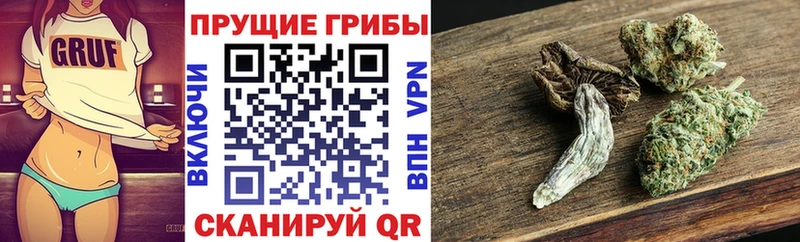 купить закладку  Слободской  Псилоцибиновые грибы ЛСД 