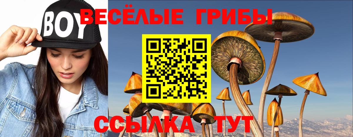 купить наркотики сайты  Галлюциногенные грибы мицелий  Вход с VPN  Слободской 